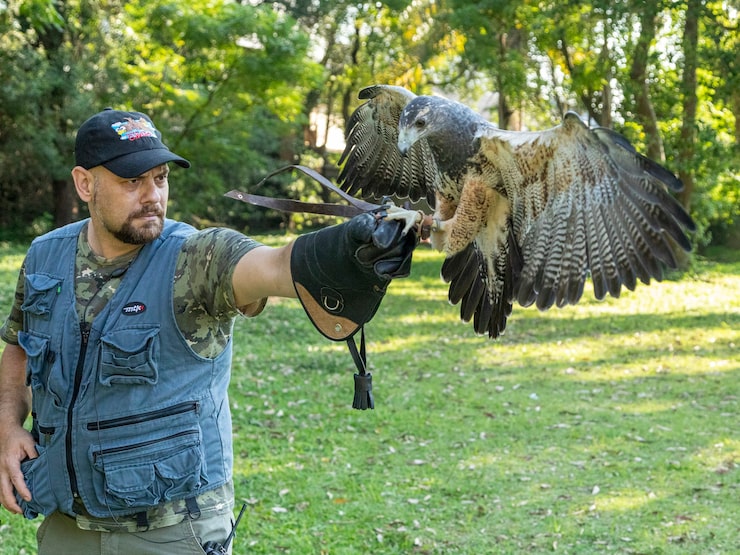 From Lodging to Bird Processing: Comprehensive Hunting Services for Waterfowl